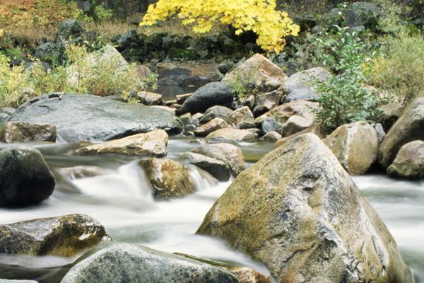 百变巫女 12星座运势3.5-3.11