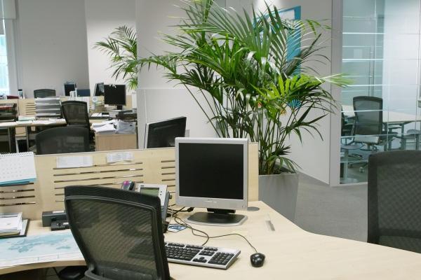 艾菲尔 水星移宫的三月！十二星座「谁舌灿莲花、谁又误解揪心」