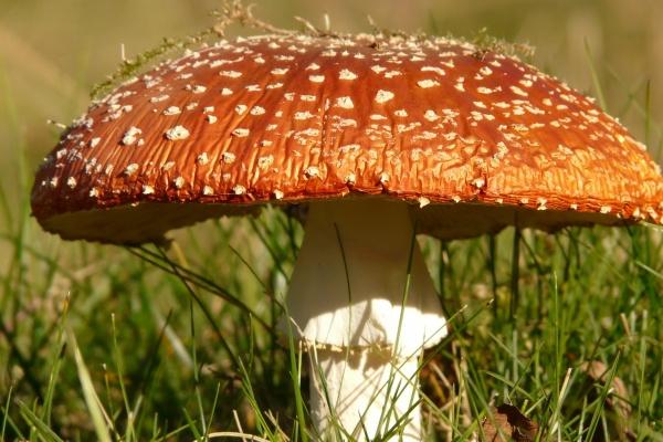 Alex  年运 | 2023年，12星座将迎来哪种人生巅峰？