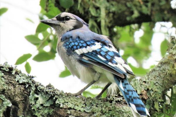 大气简单装饰公司名字大全集参考（精选100个）