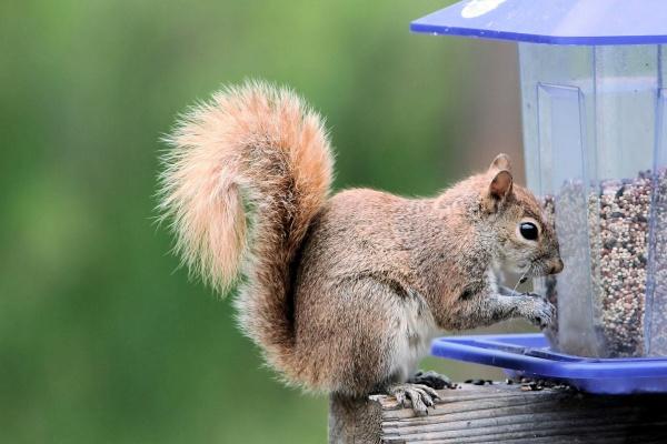 甲辰日柱遇2023癸卯流年 和贵人相遇