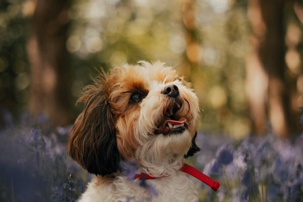 怎么看自己有没有横财 横财来临征兆