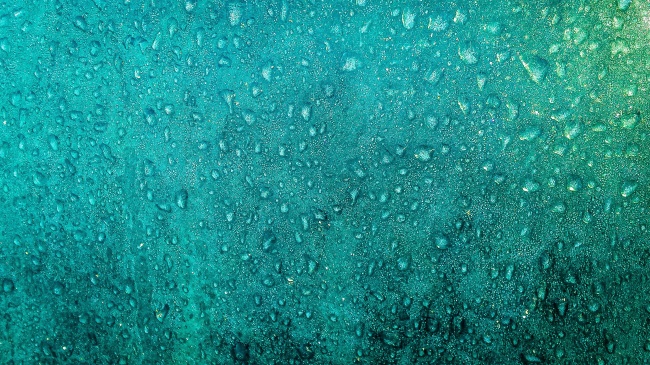 摩羯男和双鱼女根本不合适 让摩羯男上瘾的女人