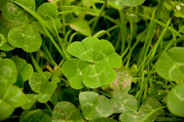 2023年4字新公司起名大全及寓意