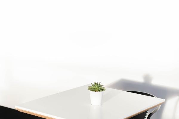 2023金牛座的正缘桃花是什么 桃花运爆棚