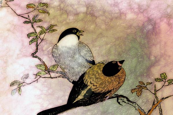 三个字名字公司名称 三字顺口名字公司免费