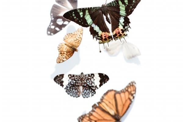 水瓶和金牛座合适吗 金牛座只听水瓶座的话