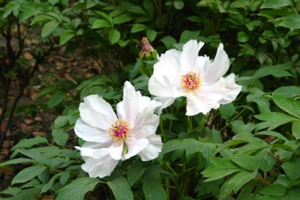 闹闹女巫 这几大欧皇星座，不努力也幸运