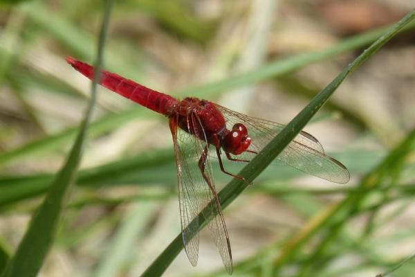 取名字免费起名2023年 新颖公司名字