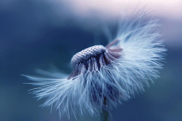 2023年星座爱情运势查询 谁的感情运最好