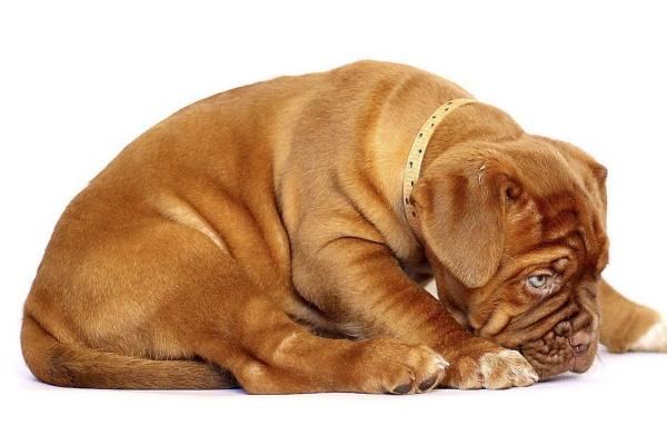 天上火命哪个时辰出生最好 火命人出生吉时