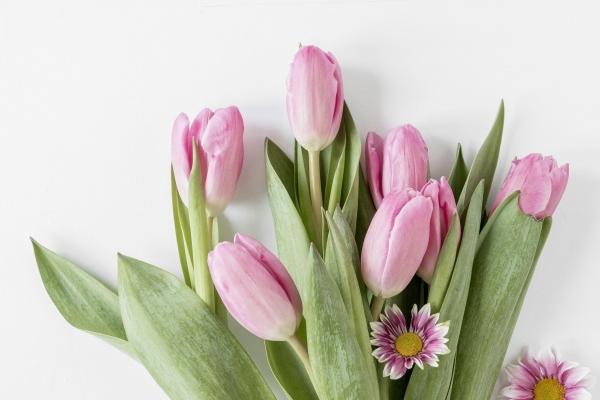 属虎女孩什么时辰出生最好命 午时出生比较旺