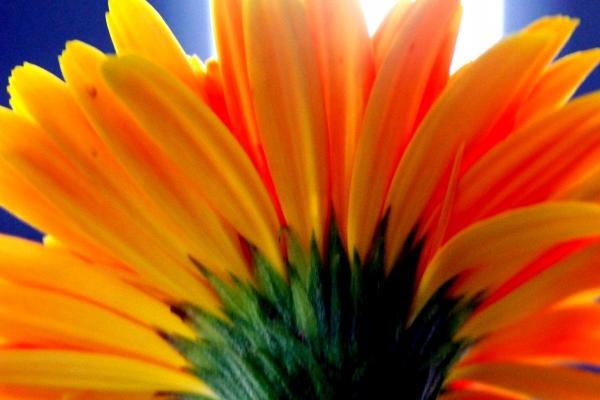 闹闹女巫  12星座今日运势0308