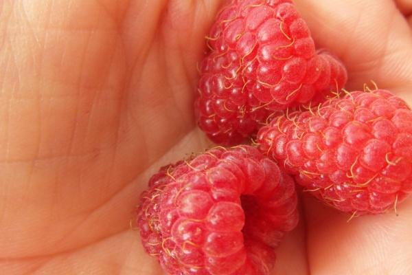 2023年立秋艳遇指数高的星座 幸福美满的三大代表