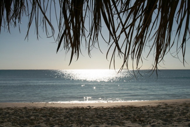 艾菲尔 2023你最有钱！点名【最会存钱】四大星座