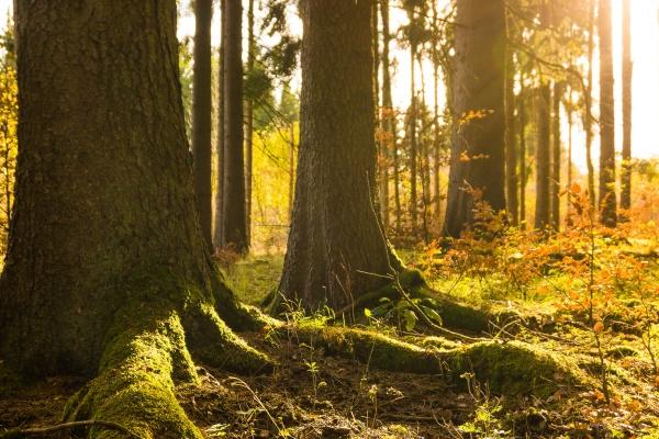 闹闹女巫  点名表扬这些会制造惊喜的浪漫星座