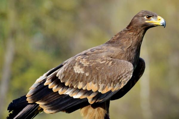 2023年秋分艳遇指数高的星座  爱情上一见钟情