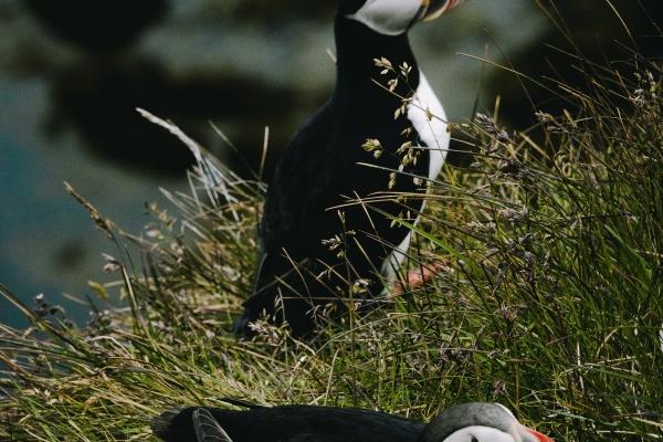 2023年国庆节财运暴涨的星座 更会利用金钱