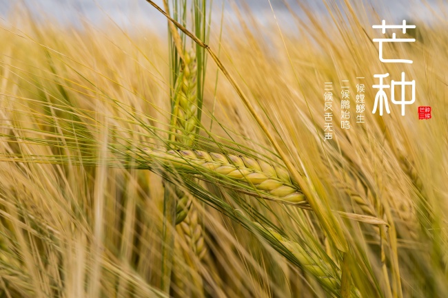 给公司起名字大全比较顺利的词 注册公司名字