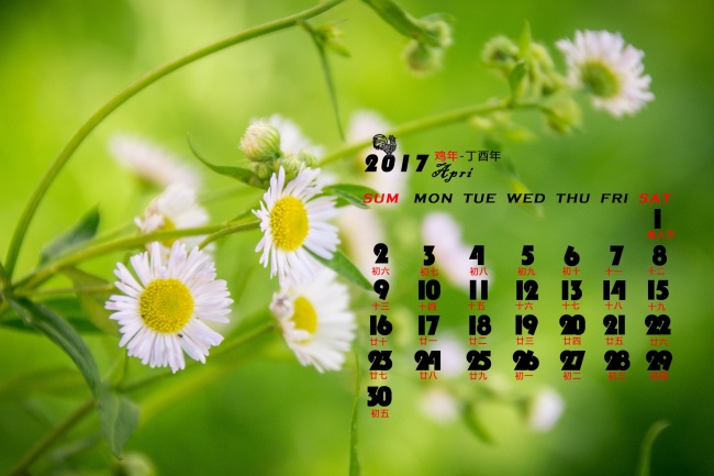 小众新颖的公司名称有哪些 非常有创意的公司名字