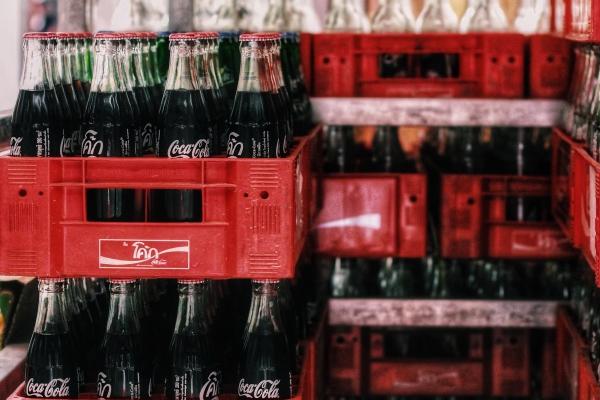 2023年春分出生的兔宝宝好吗 吉星庇佑 事业发展顺利