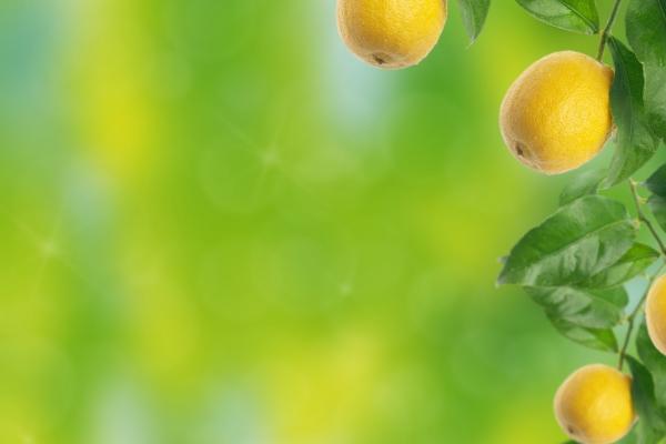 判答 本周天秤座3.13-3.19运势详解