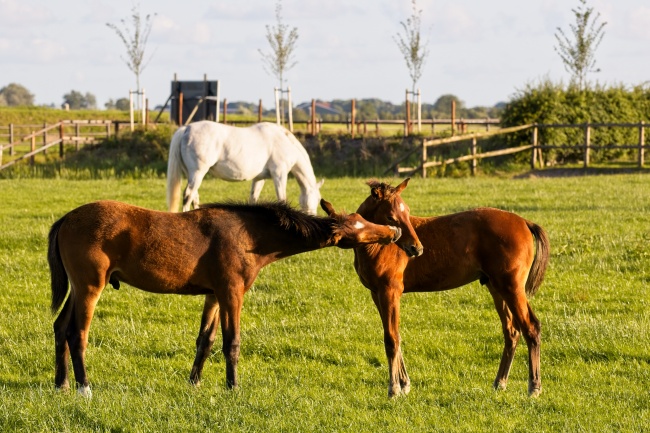 非常有创意的公司名字有哪些 免费新公司取名字大全