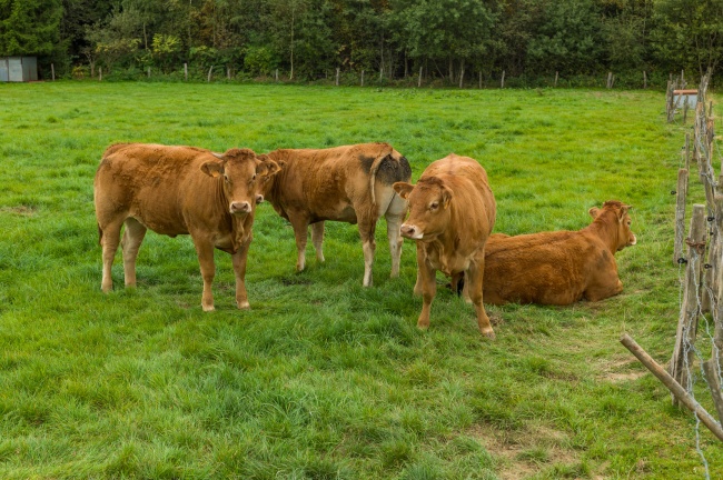 2023年教师节桃花运上涨的星座 吸引众多异性青睐