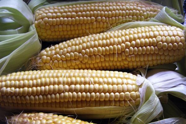 女命最不好的日柱 运势最差日柱