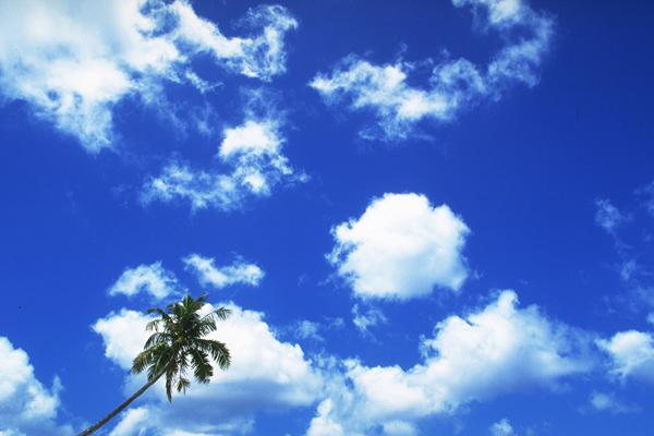 癸巳日的男命是靠女人吗 宠妻狂魔