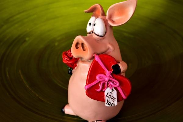 己巳日柱女命子女缘 是一位好母亲