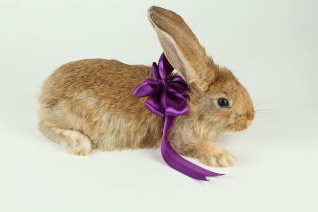 如何给店铺取名 店铺起名有妙招