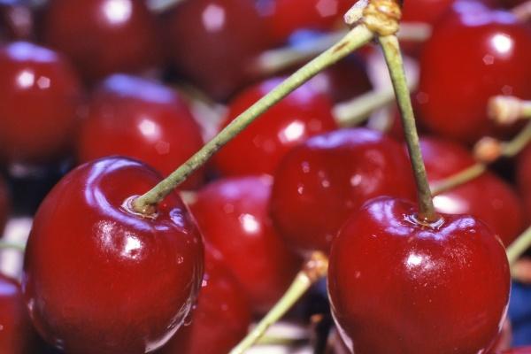 唐立淇 每日星座运势3.13