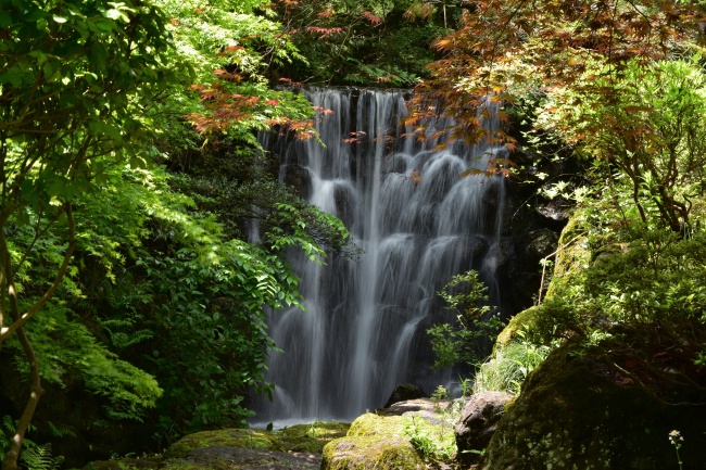 非常有创意的公司名字怎么取 企业名字大全