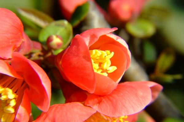 新颖的店名有哪些 好听的店铺名字大全