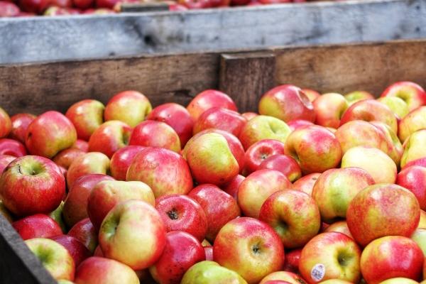 2023年立秋桃花运上涨的星座  爱情甜如蜜