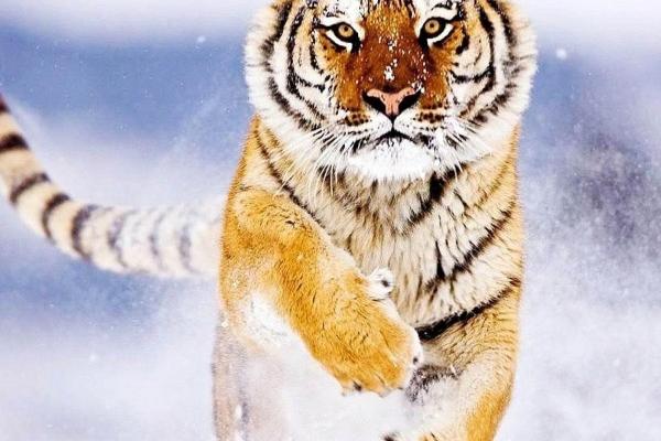 私房店名字大全创意 必定火的店名