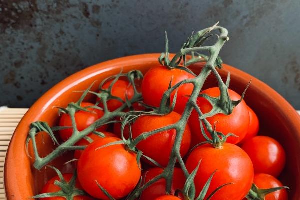 创意新潮名字 注册公司名字怎么取名免费