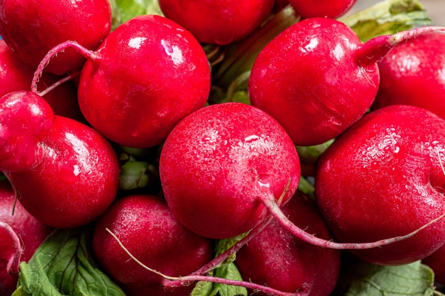 本命年可以给去世的长辈上坟吗，本命年上坟需要注意什么