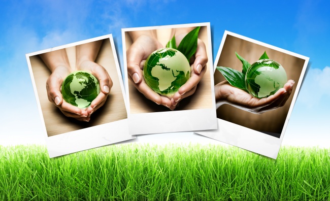 春分出生的人的命运怎么样 宝宝想象力丰富