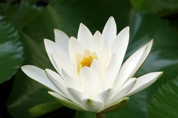 新公司注册取名4个字 4字公司名字大全必过