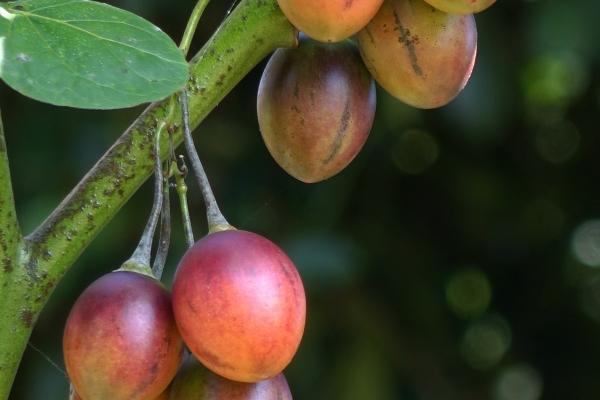 2023运势八字生辰测算 2023年个人运势分析