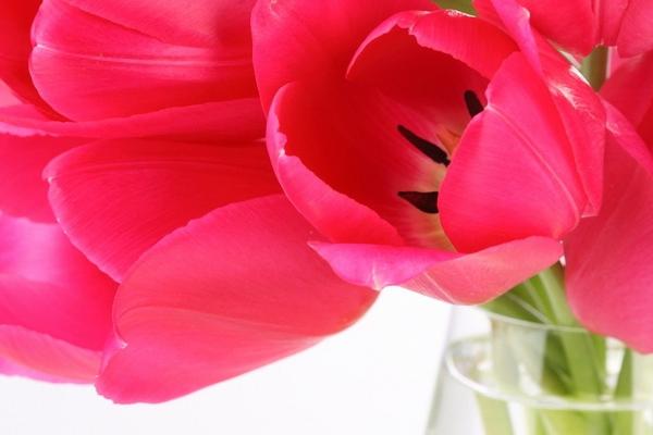 2023农历几月份出生的兔好 十月一路顺遂