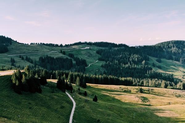 2023年清明节放假几天 清明假期怎么调休