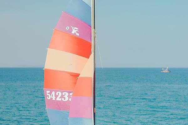 郑博士 十二生肖周运详解3.20-3.26