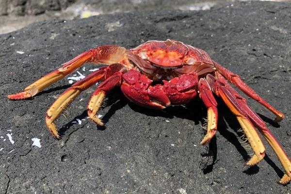 苏珊大妈处女座2023年4月运势详解