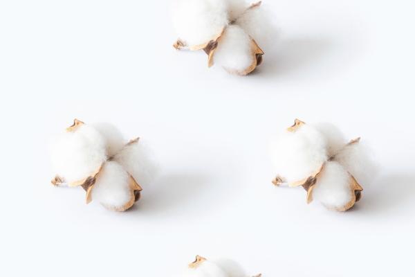 2023年处女座桃花运冬季运程详解 值得去期待