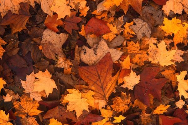 闹闹女巫 12星座周运势：0320~0326