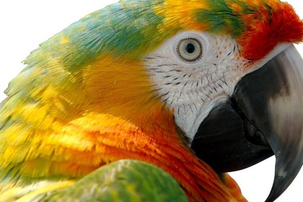 2023年巨蟹座冬季桃花运分析 不符合自身预期