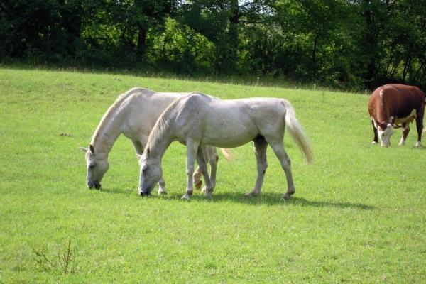 简单又有创意的店名大全 可爱的名字
